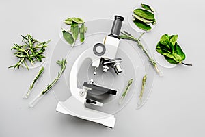 Safety food. Laboratory for food analysis. Greens near microscope on grey background top view