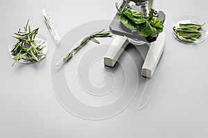 Safety food. Laboratory for food analysis. Herbs, greens under microscope on grey background top view copy space