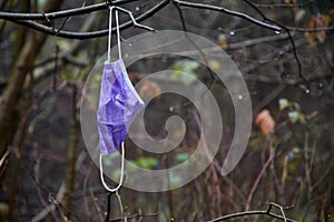 Safety mask hanging in a tree photo