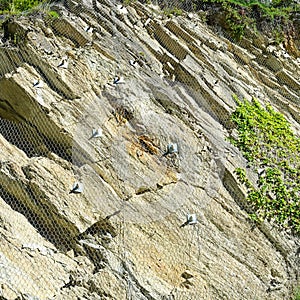 Safety net of rockfall photo