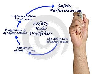 Safety Risk Portfolio