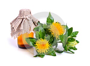 Safflower plant with oil in the bottle.