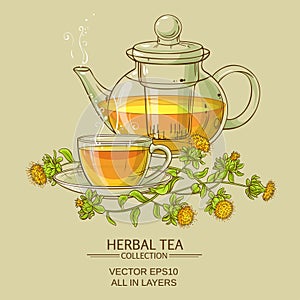 Safflower tea vector illustration