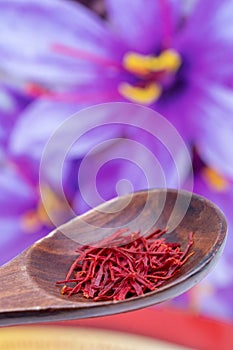 Saffron background. Selective focus on red saffron spice threads or strands in a rustic wooden spoon against blurred safran crocus