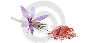 Saffron flower with stigmas photo