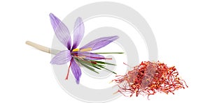 Saffron flower with stigmas