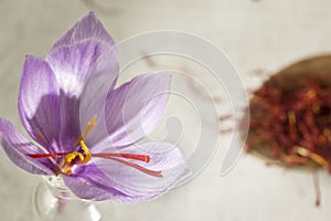 Saffron flower and types in a spoon