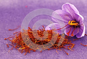 Saffron flowers