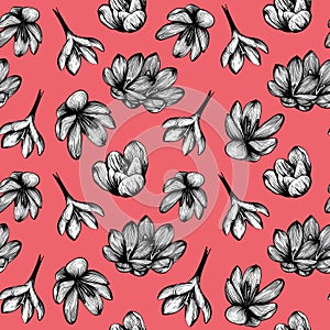 Saffron seamless pattern . Crocus flower pattern