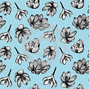 Saffron seamless pattern. Crocus flower