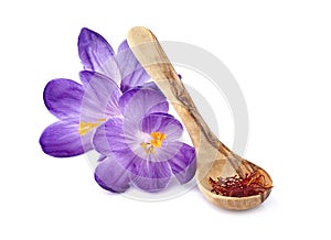 Saffron spice with flowers in closeup