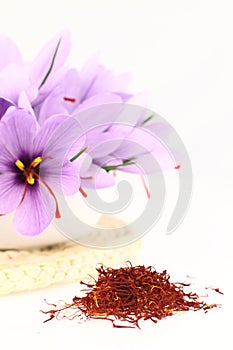 Saffron spice and Saffron flowers