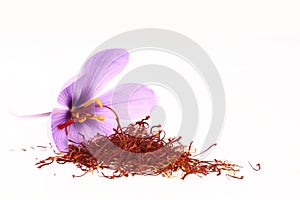 Saffron spice and Saffron flowers