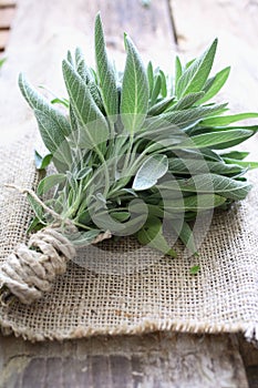 Sage bundle