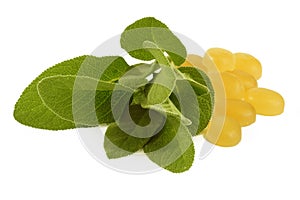 Sage cough drops
