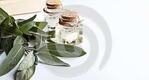 Sage essential oil in bottles, green sage leaf on white background with copy space