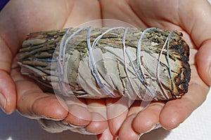 Sage in Hands