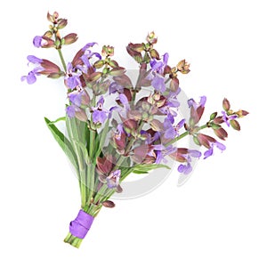 Sage Herb Flower Posy