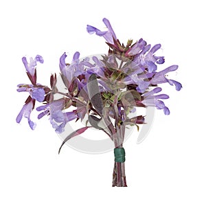 Sage Herb Flower Posy