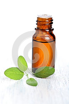 Sage herb leaves and an essential oil bottle
