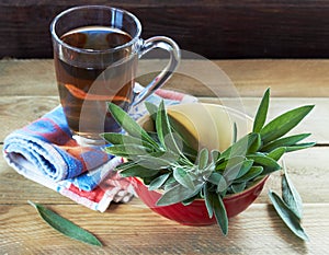 Sage herbal tea or decoction in two glass cups with herb leaves