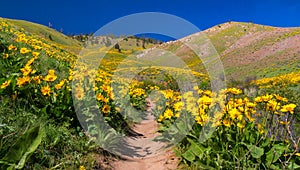 Sage Hills, Wenatchee, Washington State