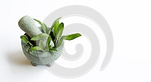 Sage leaves in stone mortar and pestle on white background