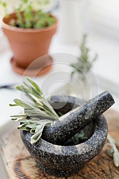Sage in mortal with pestle kitchen