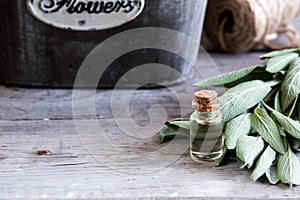 Sage oil in bottle on the wooden table. A bottle of essential oil with fresh sage twigs