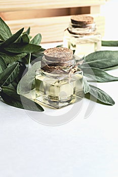 Sage oil in bottles, green sage leaf on white table, copy space