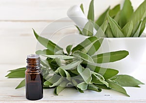 Sage oil