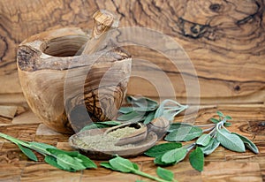 Sage on olivewood