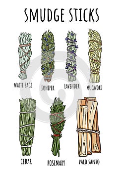 Sage smudge sticks hand-drawn set of doodles. Herb bundles collection