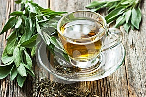 Sage tea  in glass mug and sage leaves on wooden table