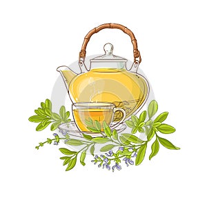 Sage tea illustration