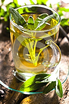 Sage tea and sage leaves. Infusion made from sage leaves. Medicinal herb Salvia officinalis