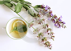 Sage tea and sage leaves. Infusion made from sage leaves. Medicinal herb Salvia officinalis. The concept of healthy