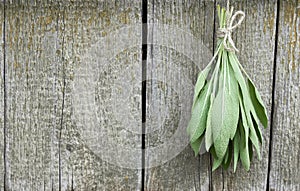 Sage tuft hanging under the roof and drying on the background of old textured wooden wall