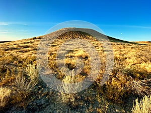 Sagebrush and a Hill