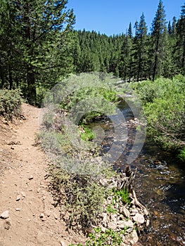 Sagehen Creek Trail