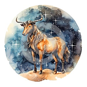 Sagittarius Constellation Steed