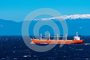 Sagittarius Ocean open surface cargo ship