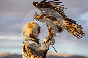 Young Kazakh Eagle Huntress Berkutchi woman with horse while hunting to the hare with a golden eagles on his arms