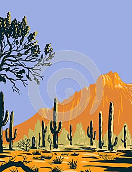 Saguaro Cactus or Carnegiea Gigantea in Ironwood Forest National Monument Section of the Sonoran Desert in Arizona WPA Poster Art photo