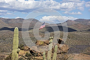 Saguaro cactus with desert background cactus and rocks with American flag flying