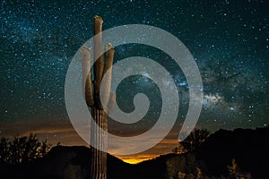 Saguaro Cactus and Milky Way photo