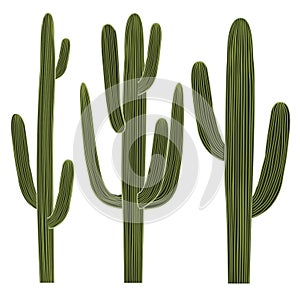 Saguaro Cactus Set