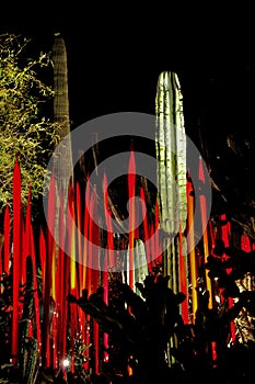 Saguaro cactus and spears