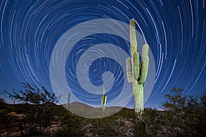 Saguaro Cactus Startrails Nightsky landscape