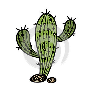 Saguaro cactus vector icon. Green desert plant with stones. Cute prickly succulent isolated on white. Hand drawn